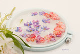 Primroses and Violets - Dimensional and Ribbon Embroidery KIT by Di van Niekerk