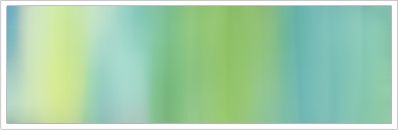 38mm Organza No 70 Springtime 1